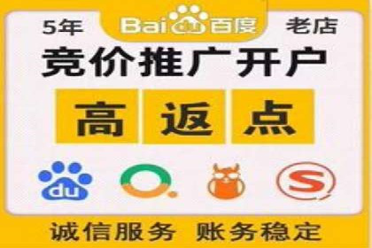 百度竞价SEM：成功案例解析与效果评估